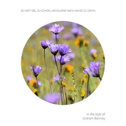 Cover art for Du bist viel zu schön, um alleine nach Hause zu geh'n - Graham Bonney karaoke version