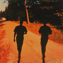 Cover art for Kulkukoirat - Reijo Taipale,Topi Sorsakoski karaoke version