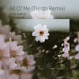 Titelbild für All Of Me (Tiësto Remix) - John Legend Karaoke-Version