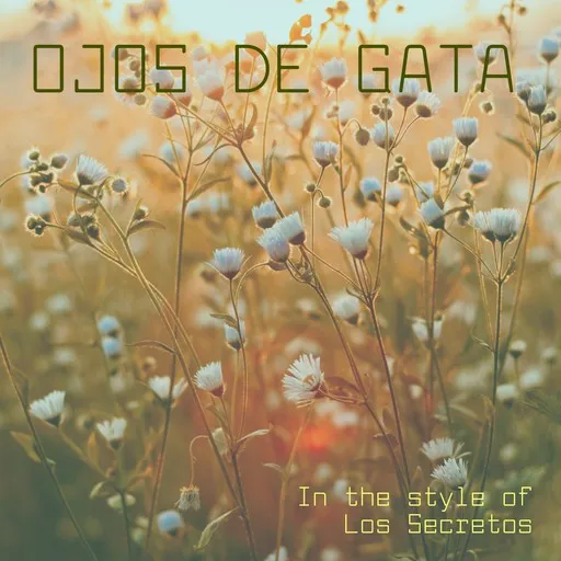 Karaoke Ojos de Gata by Los Secretos — sing along with lyrics on Singa