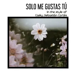 Karaokekappaleen Solo Me Gustas Tú - Casky,Sebastián Cortés kansikuva
