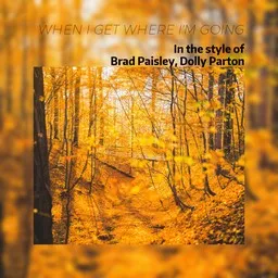 Cover art for When I Get Where I'm Going - Brad Paisley,Dolly Parton karaoke version