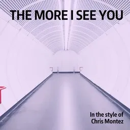 Cover art for The More I See You - Chris Montez karaoke version