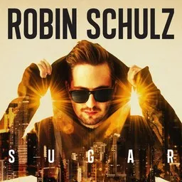 Cover art for Show Me Love - J.U.D.G.E.,Robin Schulz karaoke version