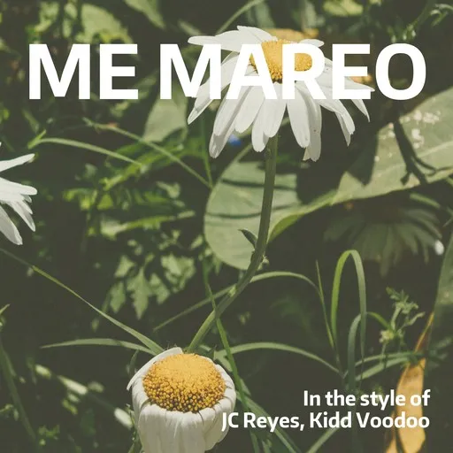 Me Mareo - Karaoke