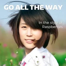 Cover art for Go All the Way - Raspberries karaoke version