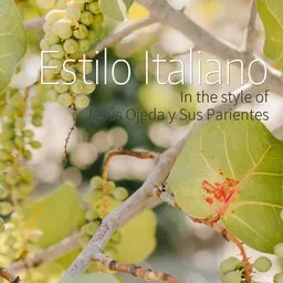 Titelbild für Estilo Italiano - Jesús Ojeda y Sus Parientes Karaoke-Version