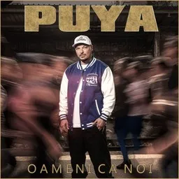 Cover art for Magazin De Vise - Iraida,Puya karaoke version
