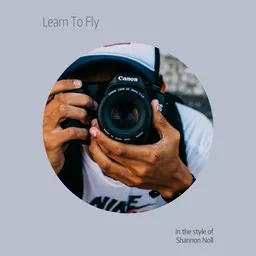 Karaokekappaleen Learn To Fly - Shannon Noll kansikuva