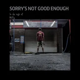 Omslagsbild för Sorry's Not Good Enough - McFly karaokeversion