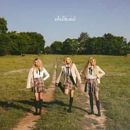 Cover art for Sheltered - The Castellows karaoke version
