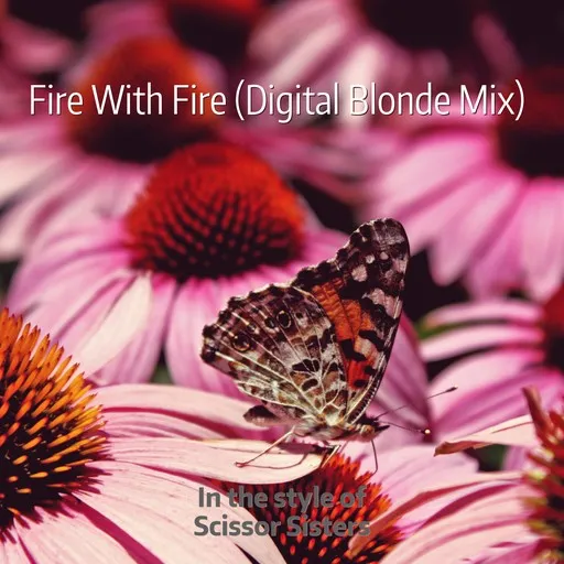 Karaoke Fire With Fire (Digital Blonde Mix) by Scissor Sisters — sing along with lyrics on Singa
