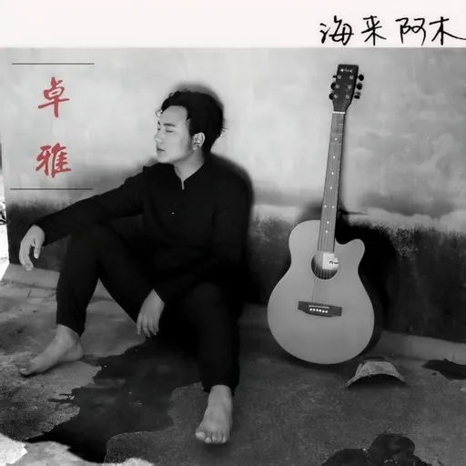 Karaoke 卓雅 by 海来阿木 — sing along with lyrics on Singa