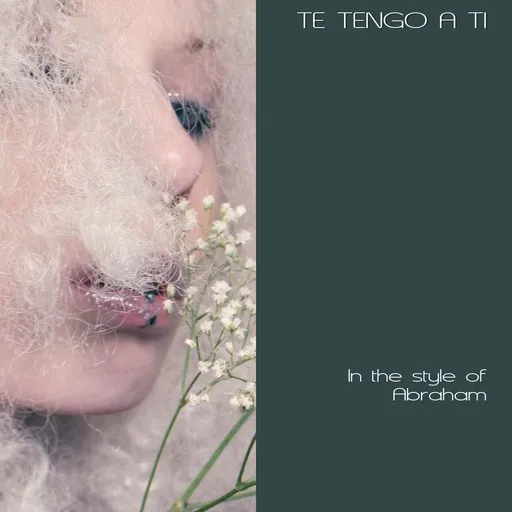 Te Tengo A Ti - Karaoke