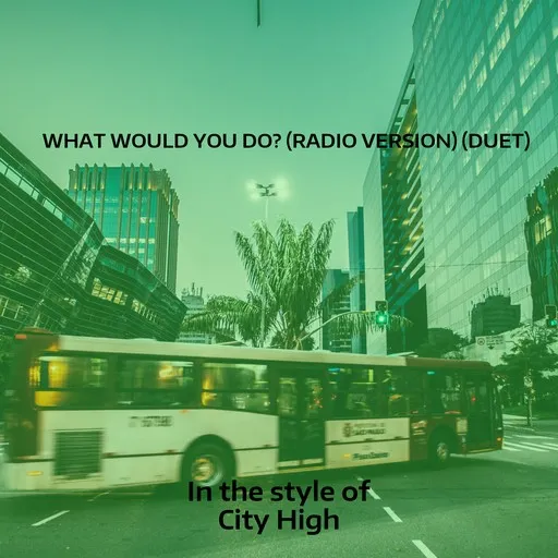 What Would You Do? (Radio Version) (Duet) - Karaoke