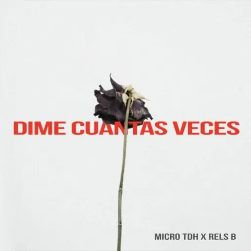 Dime Cuantas Veces - Karaoke