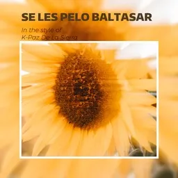 Cover art for Se Les Pelo Baltasar - K-Paz De La Sierra karaoke version