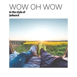 Titelbild für Wow Oh Wow - Jedward Karaoke-Version