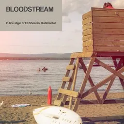 Titelbild für Bloodstream - Ed Sheeran,Rudimental Karaoke-Version