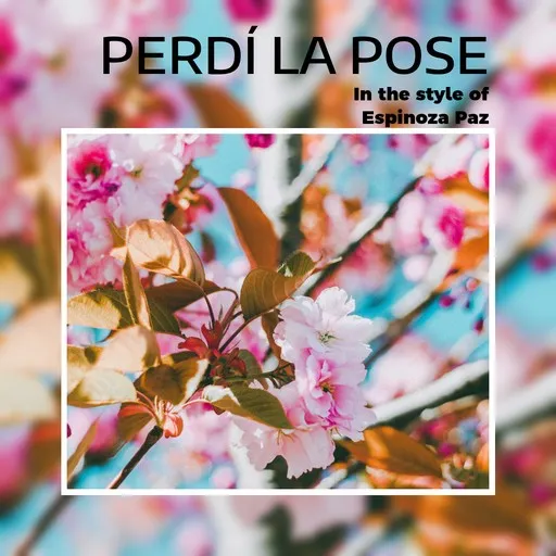 Perdí la pose - Karaoke