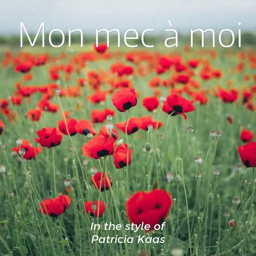 Mon mec à moi - Karaoke