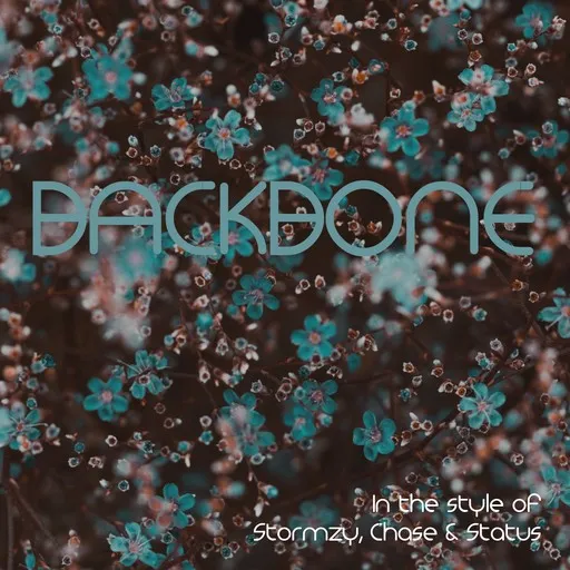 Karaoke Backbone von Chase & Status, Stormzy — mit Songtext mitsingen auf Singa