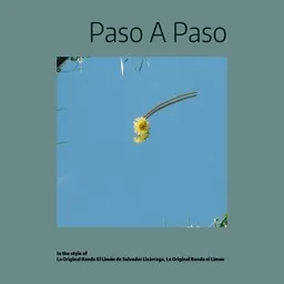 Cover art for Paso A Paso - La Original Banda el Limon,La Original Banda El Limón de Salvador Lizárraga karaoke version