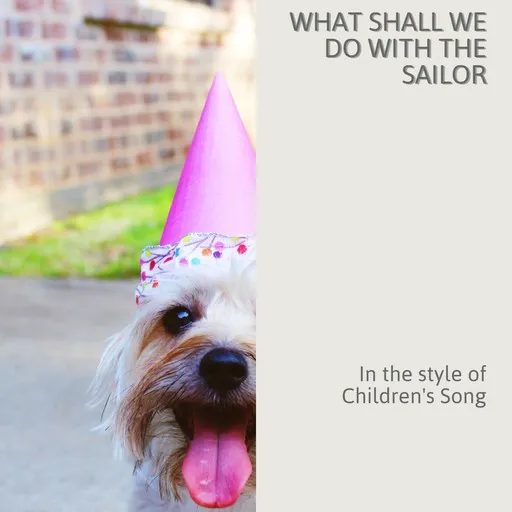 What Shall We Do With The Sailor - Karaoke