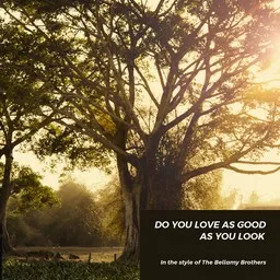 Titelbild für Do You Love As Good As You Look - The Bellamy Brothers Karaoke-Version