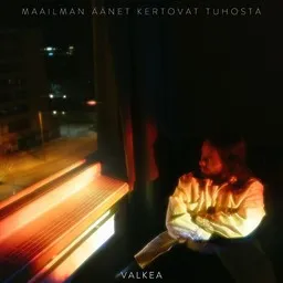 Omslagsbild för Valkea