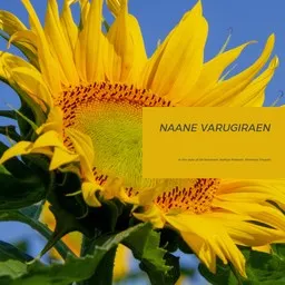 Titelbild für Naane Varugiraen - OK Kanmani,Sathya Prakash,Shashaa Tirupati Karaoke-Version