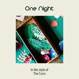 Cover art for One Night - The Corrs karaoke version