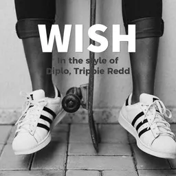 Cover art for Wish - Diplo,Trippie Redd karaoke version