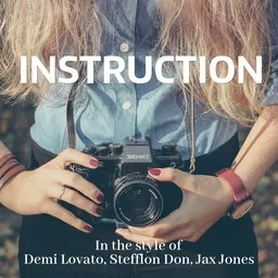 Cover art for Instruction - Demi Lovato,Jax Jones,Stefflon Don karaoke version