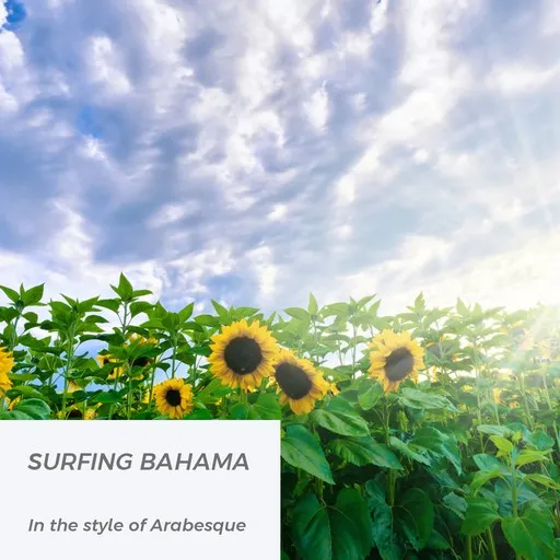 Surfing Bahama - Karaoke