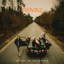 Cover art for Zimmer - Provinz karaoke version