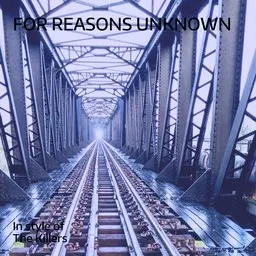 Omslagsbild för For Reasons Unknown - The Killers karaokeversion