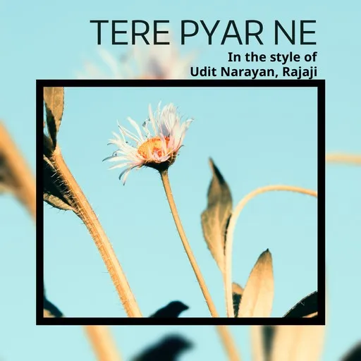 Tere Pyar Ne - Karaoke