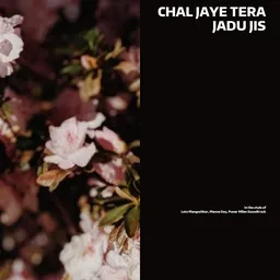 Cover art for Chal Jaye Tera Jadu Jis - Lata Mangeshkar,Manna Dey,Punar Milan Soundtrack karaoke version