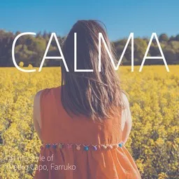 Cover art for Calma - Farruko,Pedro Capó karaoke version