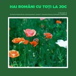 Omslagsbild för Hai români cu toți la joc - Diamanta Paterău,Orchestra Naţională de muzică populară „Lăutarii”,Romanian Traditional karaokeversion