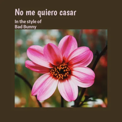 No me quiero casar - Karaoke
