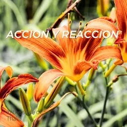 Cover art for Accion Y Reaccion - Thalía karaoke version