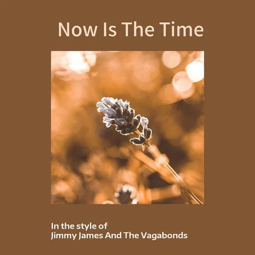 Now Is The Time - Karaoke
