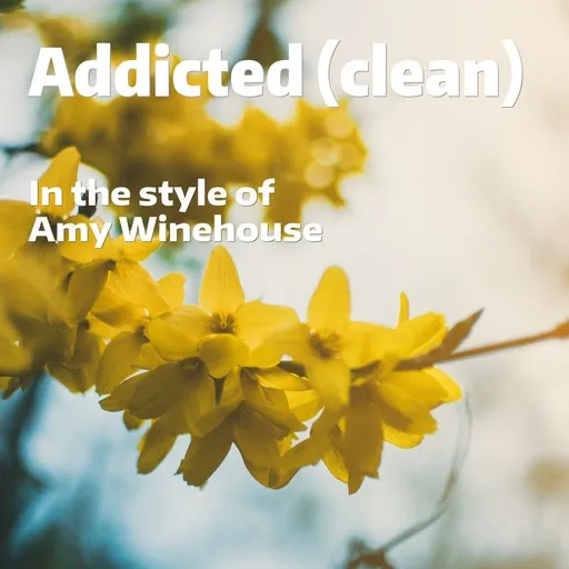 Addicted (clean) - Karaoke