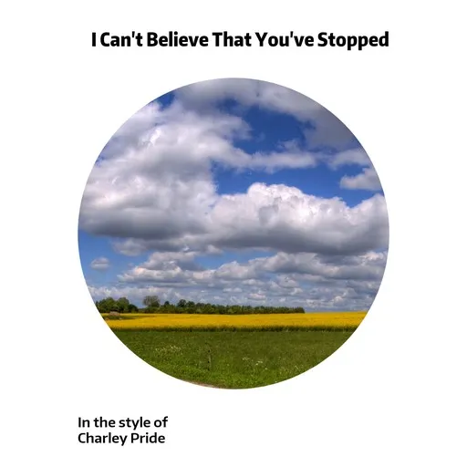 I Can't Believe That You've Stopped - Karaoke