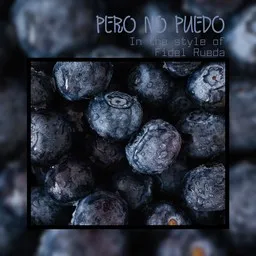 Cover art for Pero No Puedo - Fidel Rueda karaoke version