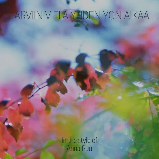 Tarviin vielä yhden yön aikaa - Karaoke