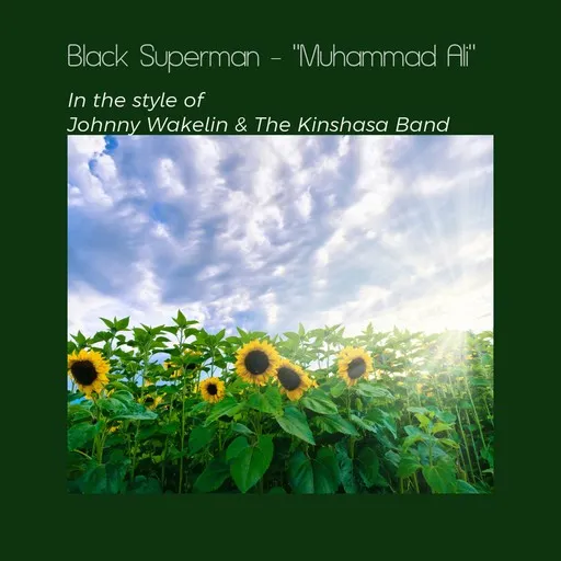 Karaoke Black Superman - "Muhammad Ali" esittäjältä Johnny Wakelin & The Kinshasa Band — laula mukana sanoituksilla Singassa