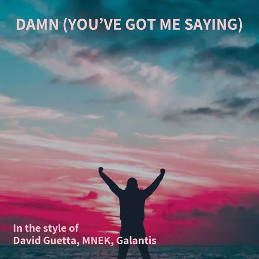 Karaoke Damn (You’ve Got Me Saying) av David Guetta, Galantis, MNEK — sjung med på texten på Singa